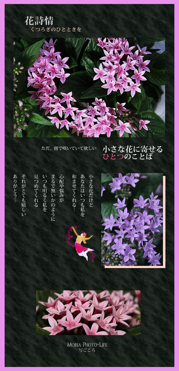 ありがとう,感謝