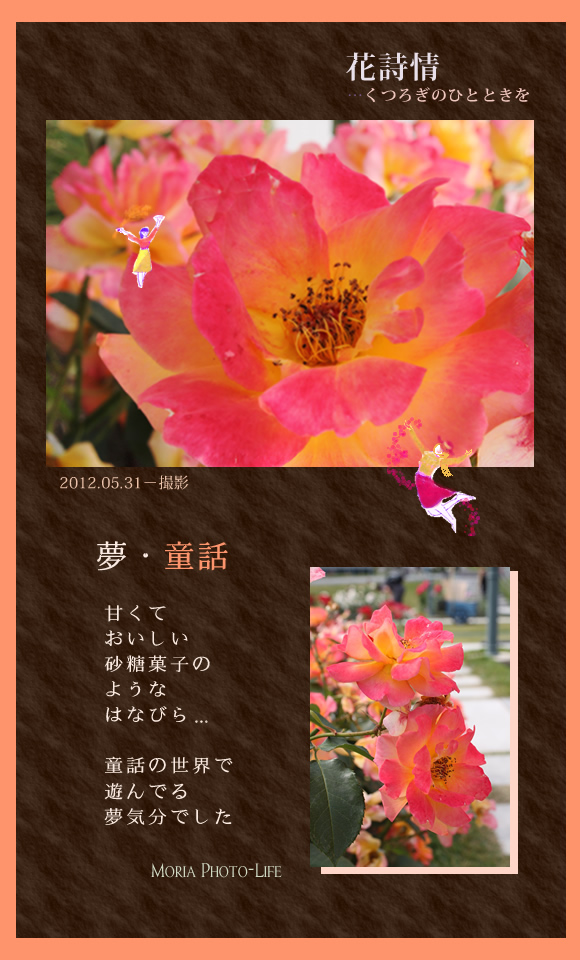 花詩情・夢童話