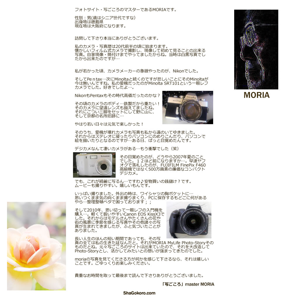 MORIAプロフィール